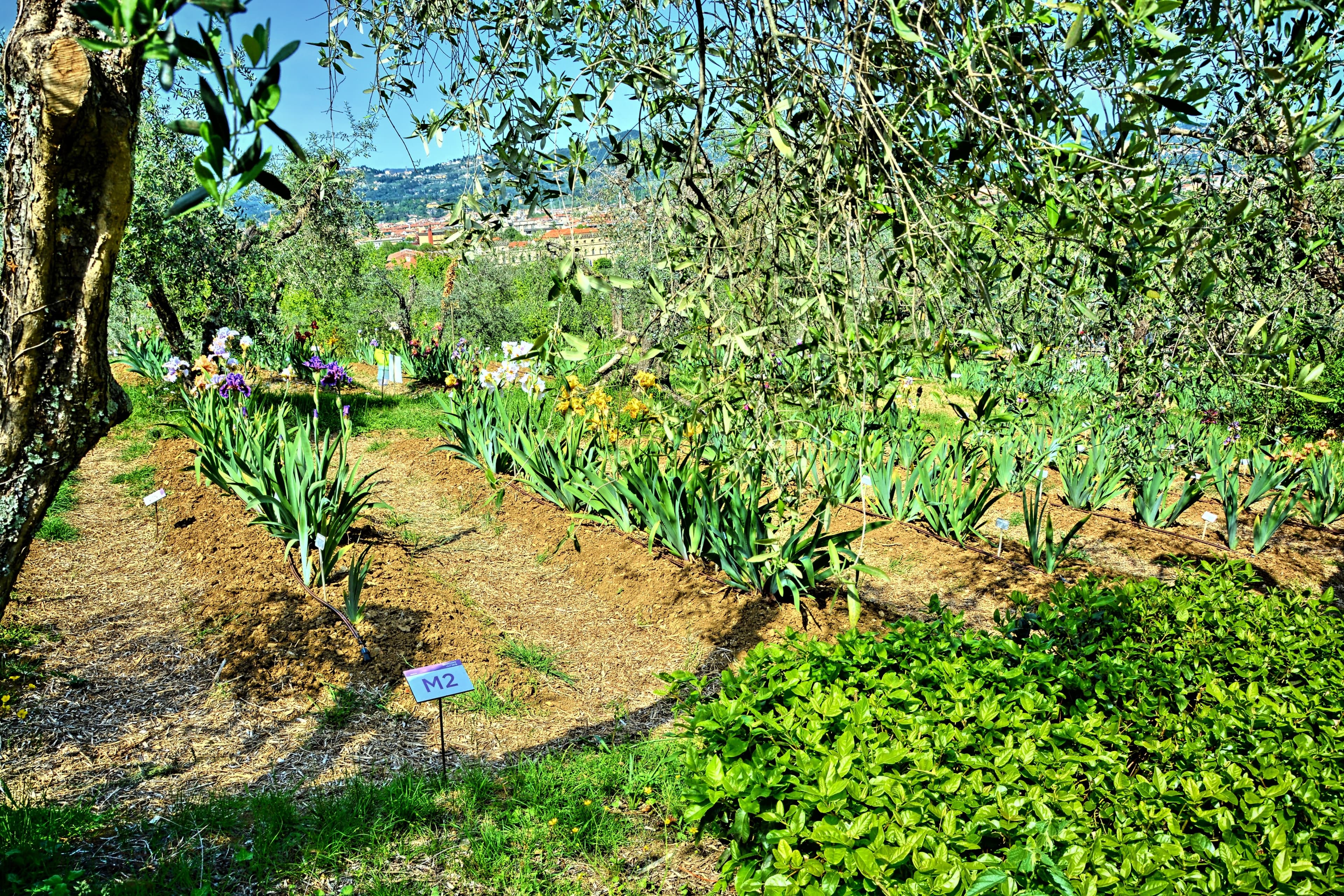 Tendenze Arredamento 2026: Juta e Sisal per una Casa Naturale e Sostenibile